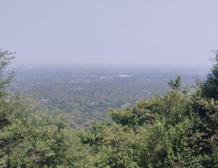 Experience Nature at Nithin Holiday Inn